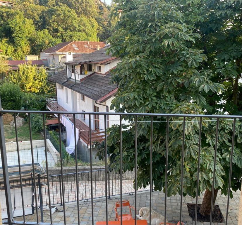 Apartamento Casa Di Fiocco Bra Exterior foto